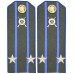 Погоны полевые ПОДПОЛКОВНИК, Войск НКВД, обр. 1943г.